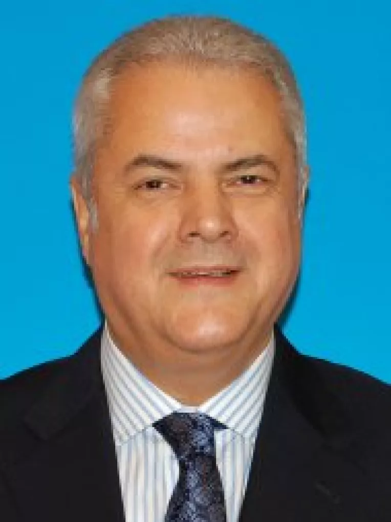 Adrian Nastase a prezis decizia de neconstitutionalitate: "Daca judecatorii Curtii Constitutionale nu ne fac o supriza placuta..."