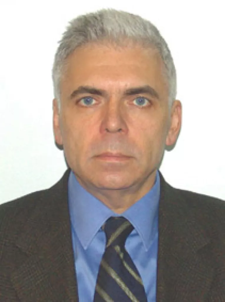 Adrian Severin spune ca exista dubii asupra modului in care s-au organizat anumite licitatii ANI