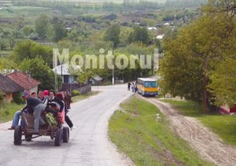 Alesii locali, la judecata