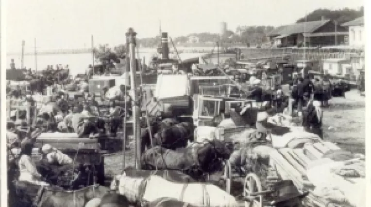 Aromanii sunt romani, nu albanezi, nu macedoneni si nici greci ! (1)