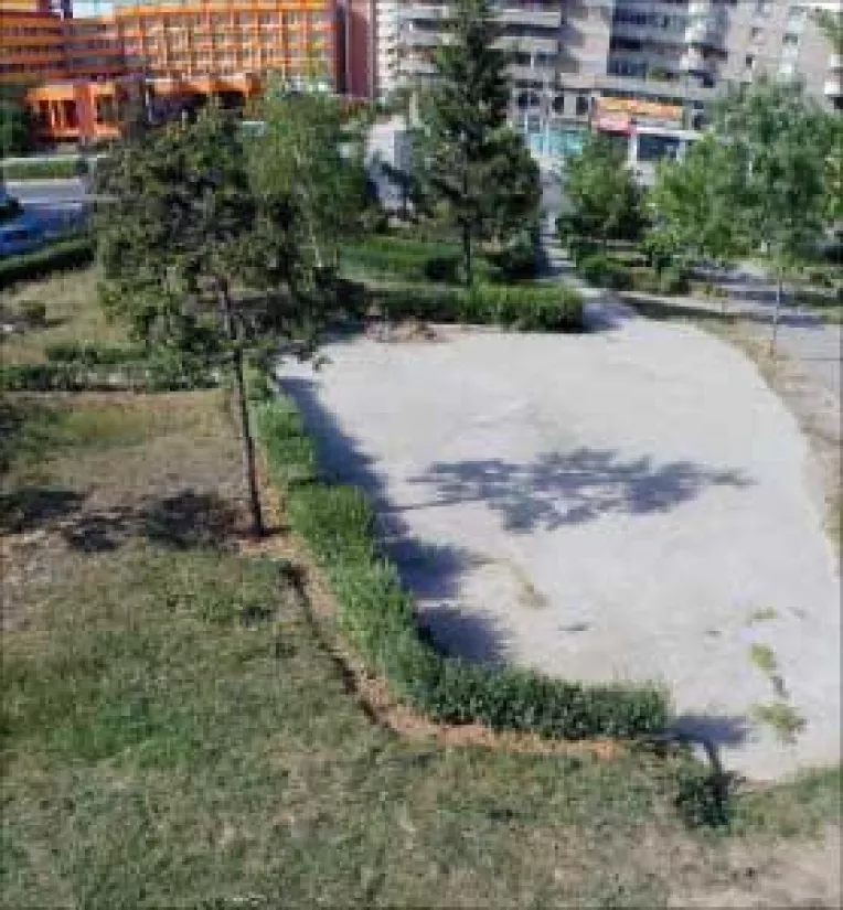 Aurica, primarul rade-tot. Bania, bazarul lui Solomon