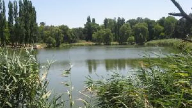 Batalie castigata pentru Hanul Doctorului