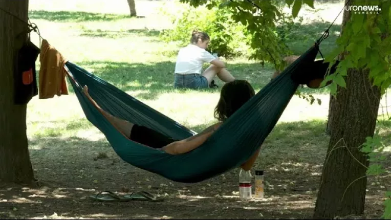 Bucuresti, capitala europeana cu cei mai putini copaci. Doar 20% din suprafata orasului este verde