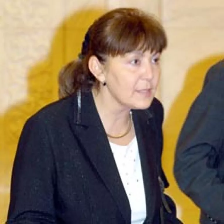 Cabinetul Tariceanu sustine primul examen in Parlament