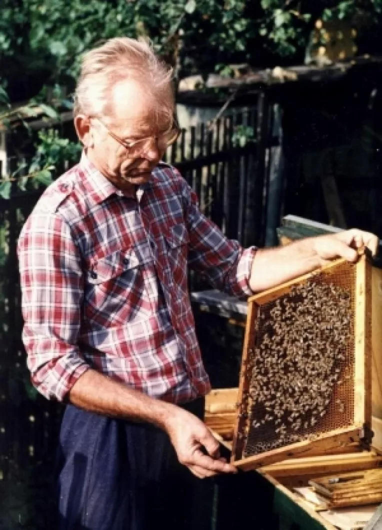 Cererile pentru subventia cresterii albinelor trebuie depuse pana la 1 august