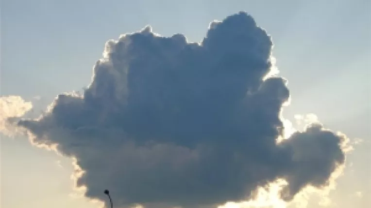 Cine este de vina: PDL, Basescu sau poporul?