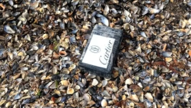 Cocaina din Marea Neagra a ajuns in Bulgaria