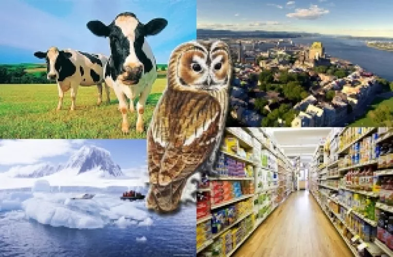 Curiozitati despre lumea in care traim