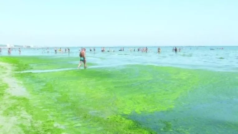 DADL are probleme cu algele in zona Malibu