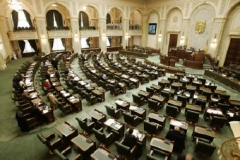 De Boboteaza, Sesiune extraordinara, la Senat, in 6 ianuarie 2010: Abilitarea Guvernului de a emite ordonante