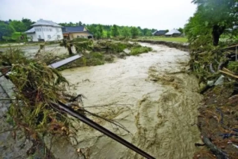 Defrisarea salbatica a padurilor amplifica inundatiile