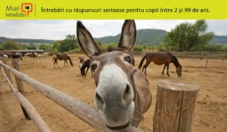 Facebook: Fabula dedicata lui Klaus Iohannis