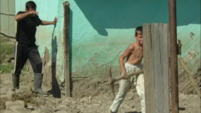 Firmele se inghesuie sa vanda materiale de constructii pentru sinistrati