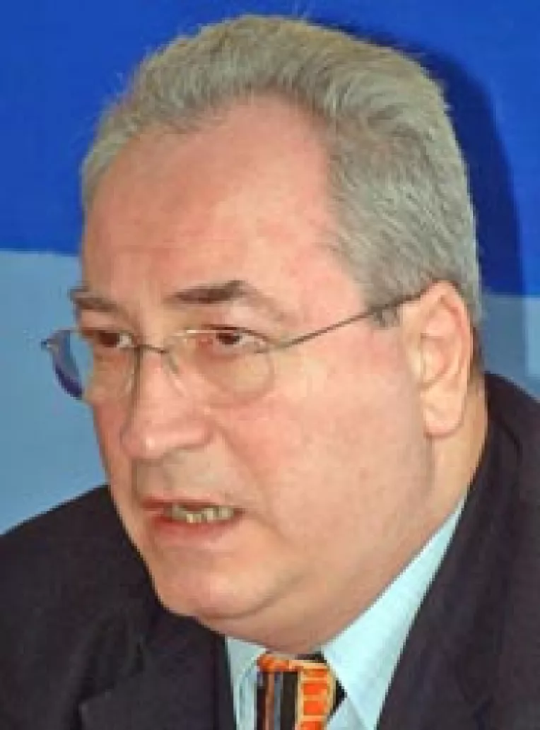 Hasotti: "Nu spun ca Alianta va prinde 2008, dar nu vor fi alegeri anticipate"