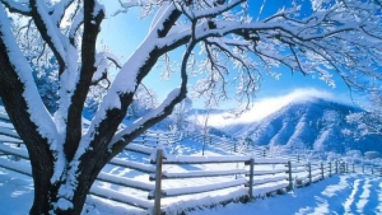 Horoscop: Saptamana 23-29 Ianuarie 2017