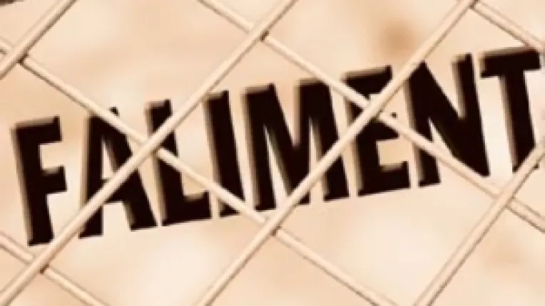 Imprumutul de la FMI: Dezastru total pentru Romania