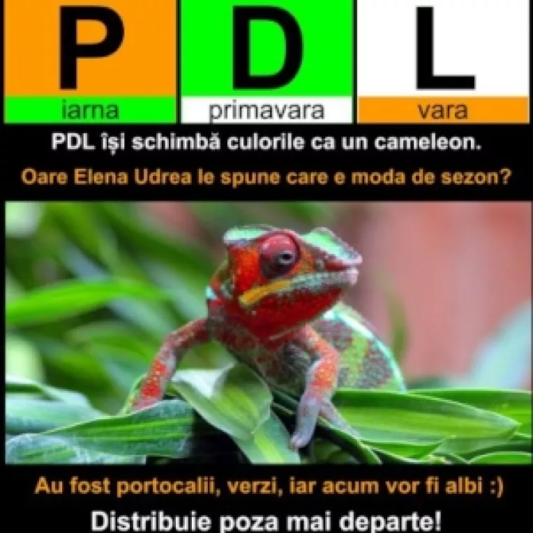 Internautii ii recomanda lui Basescu sa foloseasca drept sediu de campanie casa din Mihaileanu si sigla PDL sa fie cameleonul