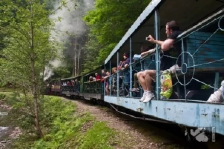 Ioan Oltean: Emil Boc este un Stefan cel Mare al zilelor noastre, PD-L duce reforma cu trenul Accelerat, si nu cu Mocanita, ca PSD