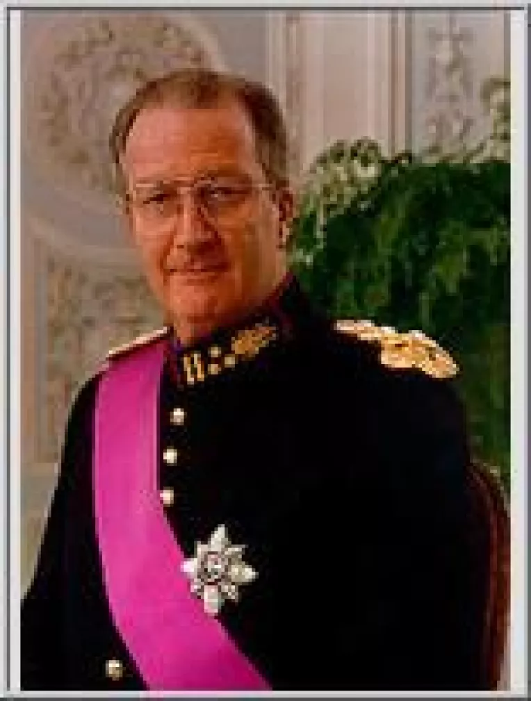 La intalnirea cu Geoana, Regele Albert al Belgienilor a propus patru zone de cooperare: agroindustria si alimentatia, tehnologiile ecologice, transportul maritim si riveran si energia