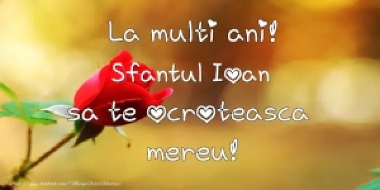 LA MULTI ANI, celor 2 milioane de romani care poarta numele Sf. Ioan: Ioana, Ioan, Ion, Ionut, Ionica, Nica, Oana, Onut, Ionela si Ionel