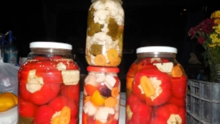 Mihaela Enache: "Muraturi diverse la targul traditional organizat in curtea Muzeului Taranului Roman!"