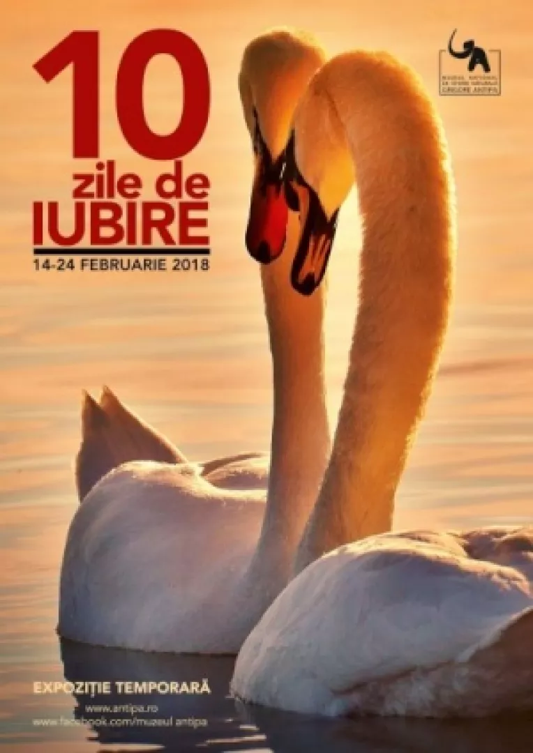 Muzeul Antipa va invita,  in perioada 14 - 24 februarie 2018,  la expozitia 10 ZILE DE IUBIRE