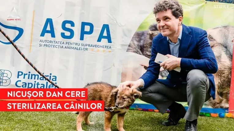 Nicusor Dan: Cei care se opun sterilizarii cainilor vor fi sanctionati