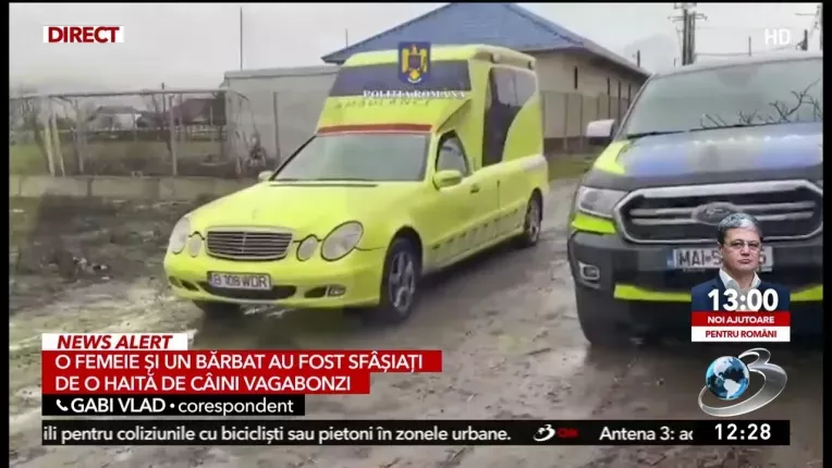 O femeie si un barbat au murit sfasiati de caini, in Galati