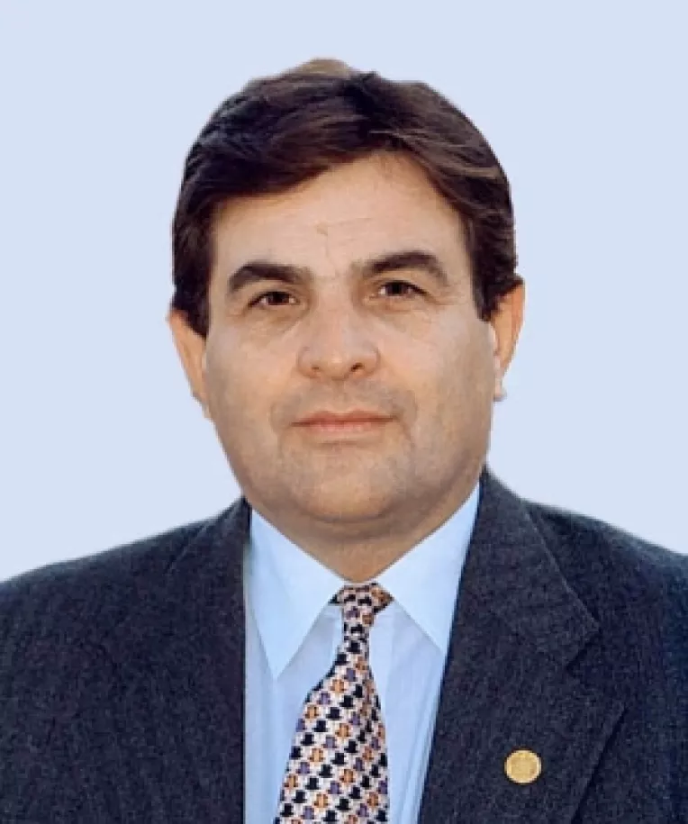 Octavian Stireanu: Umbra lui Boc asupra Constitutiei