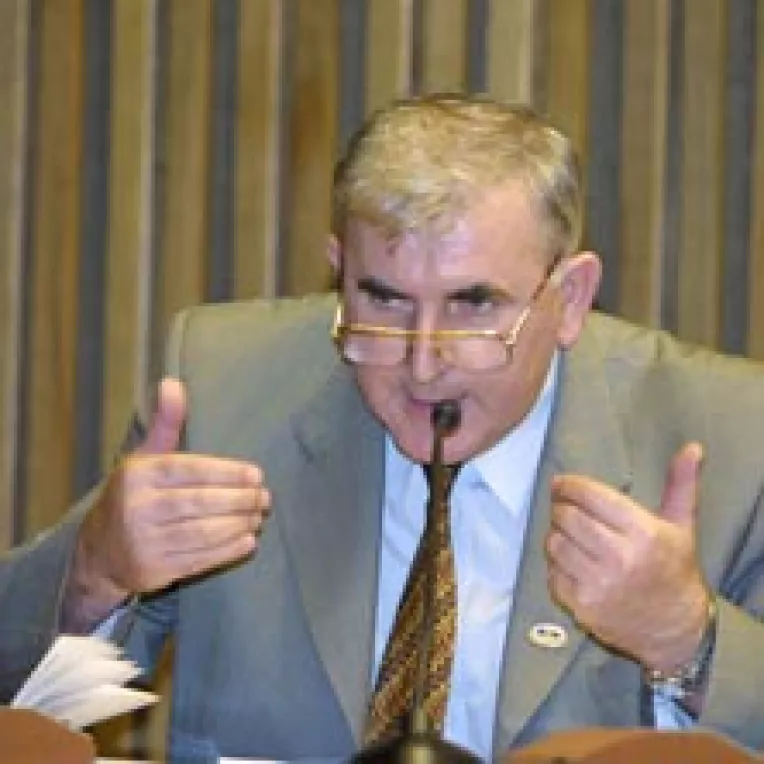 Padurile lui Pimen atenteaza la siguranta nationala