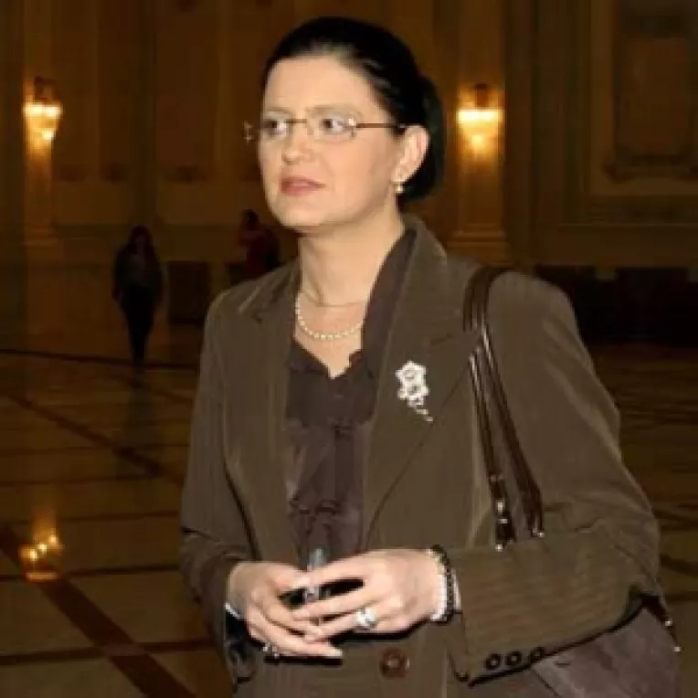 PD acuza Guvernul ca vrea sa limiteze numarul centrelor de votare din strainatate