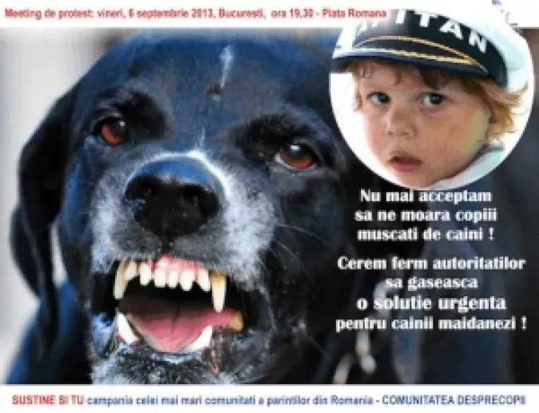 Petitie pe internet: Parintii cer o solutie ca sa nu le mai fie ucisi copiii de caini