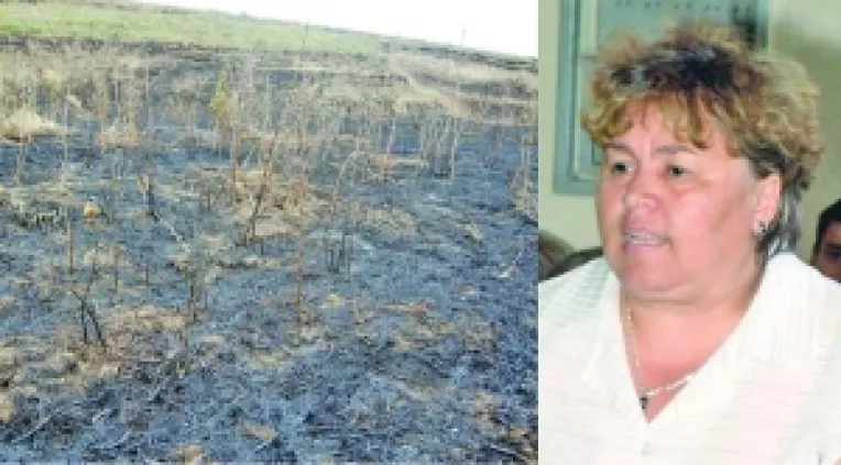 Piroman de ocazie la Deleni, sotul fostei primarite Anica Dan ramane fara subventie