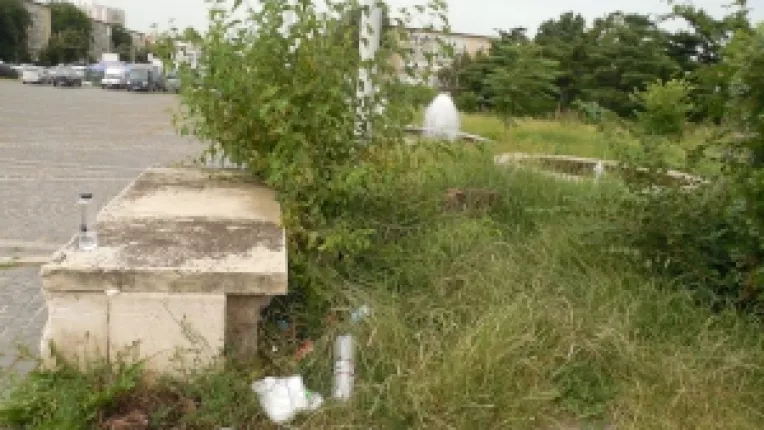 Platoul din fata Academiei Militare, din sectorul 5 al Capitalei, este lasat de izbeliste