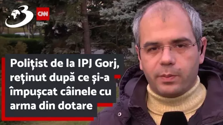 Politist de la IPJ Gorj, retinut dupa ce si-a impuscat cainele cu arma din dotare