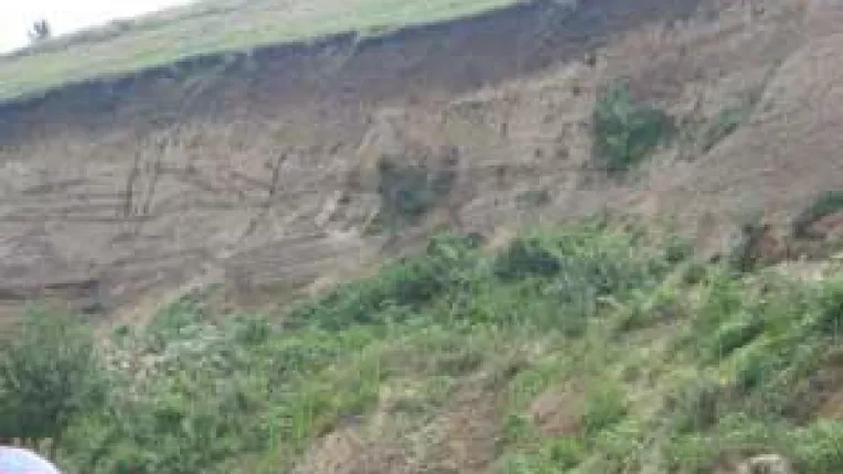 Primaria Bucovat nu ia in seama 70 de milioane de ani. Titluri de proprietate peste un sit fosilifer