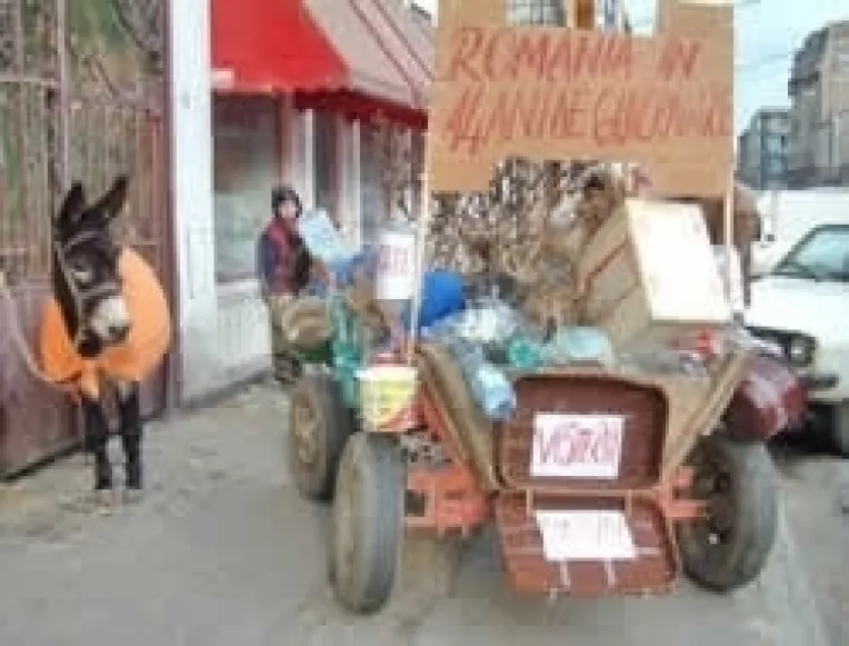 PRM Constanta s-a plimbat prin oras cu "magarii Nastase si Basescu”