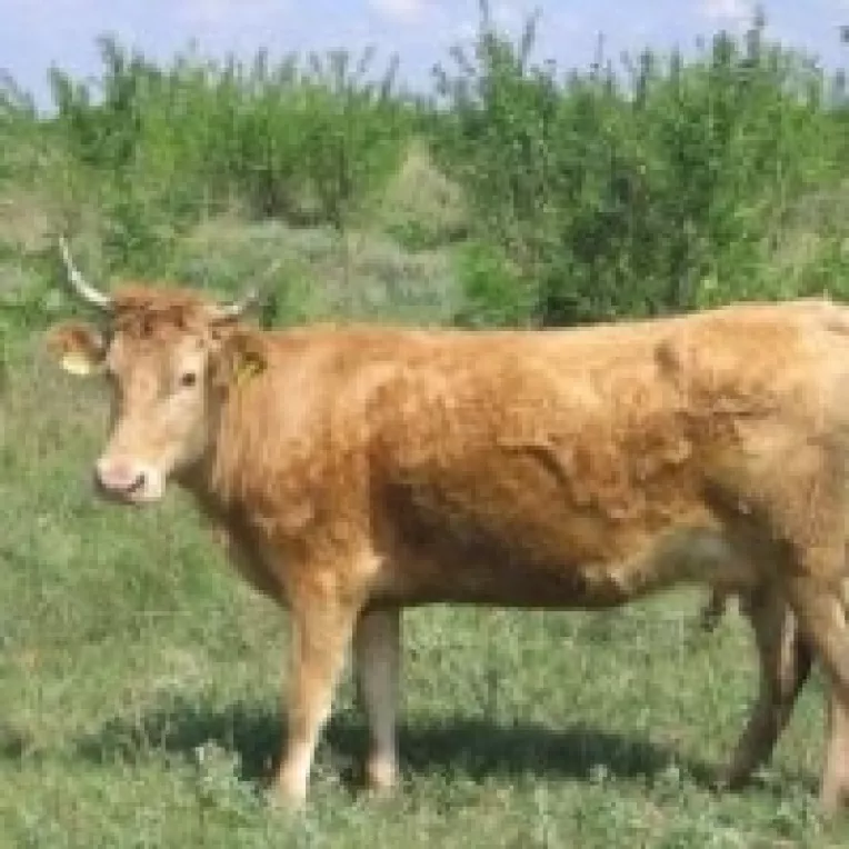 Producatorii agricoli ignora propriile interese