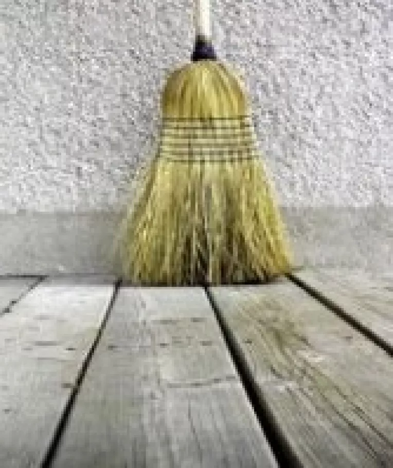 PSD se curata: Reziduuri recuperate de partidul lui Oprea