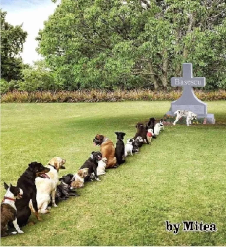 Putin ii da lectii lui Basescu in problema minoritatilor nationale 