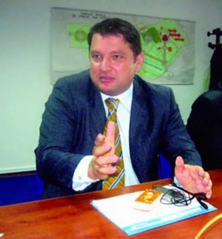 "Reinvie" bulina galbena