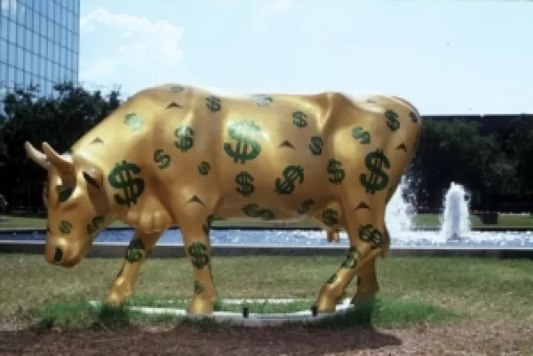 Romania: O vaca buna de muls