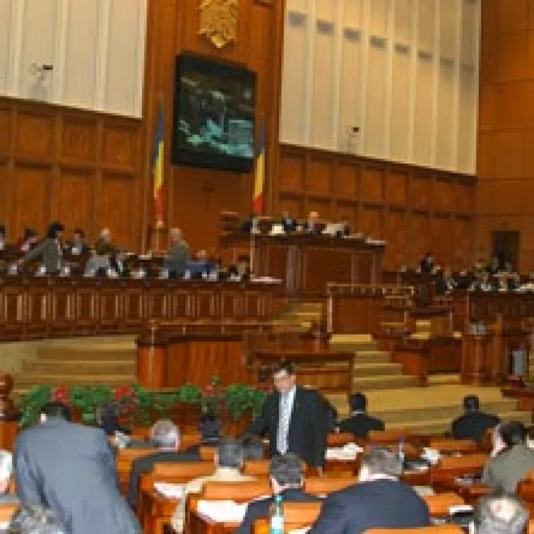 Rujeola i-a inflamat rau pe deputati