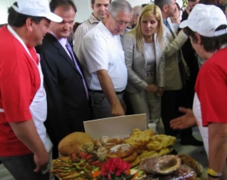 Satire si barfe politice