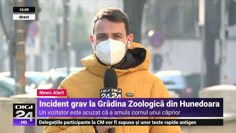 Scandal la o gradina zoologica din Hunedoara. Un vizitator e acuzat ca a smuls cornul unui caprior