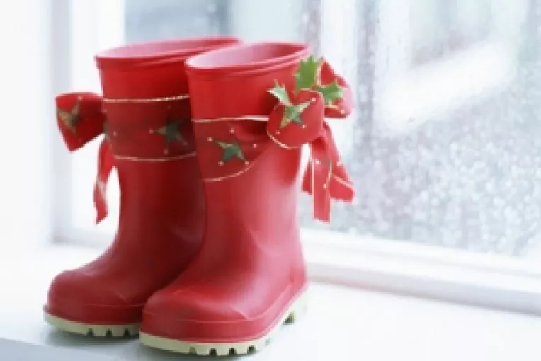 Scenariu: Mos Niculae va aduce un nou guvern, cu PNL in locul UDMR?