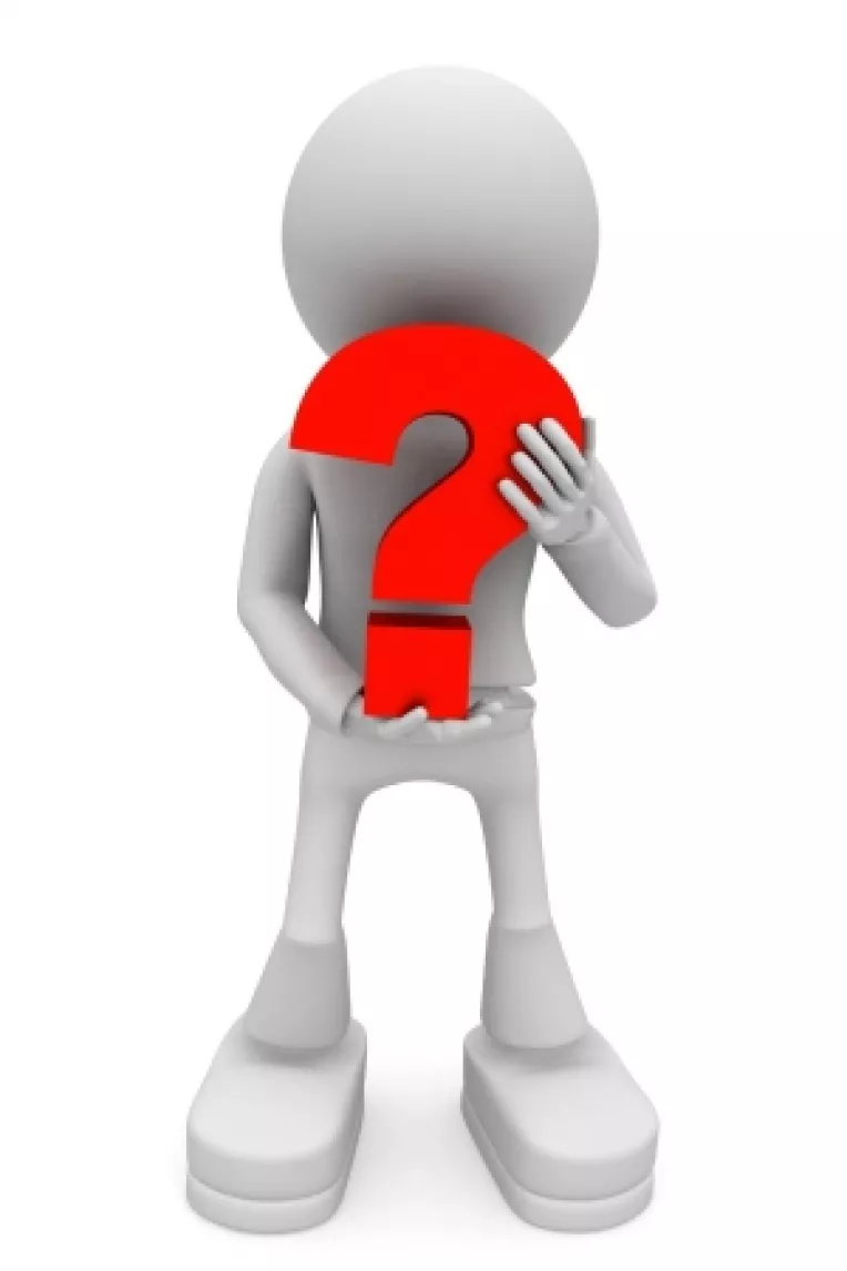 Sefia PSD: Iliescu va spune la congres pe cine sustine