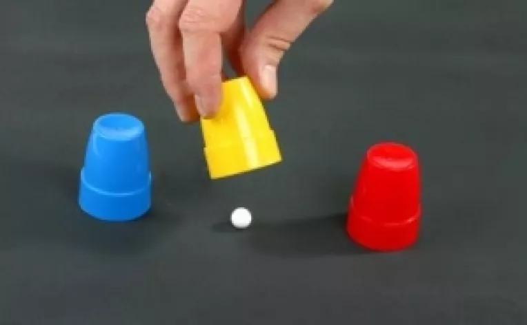 Smecherie pedelista: Guvernul sfideaza Parlamentul