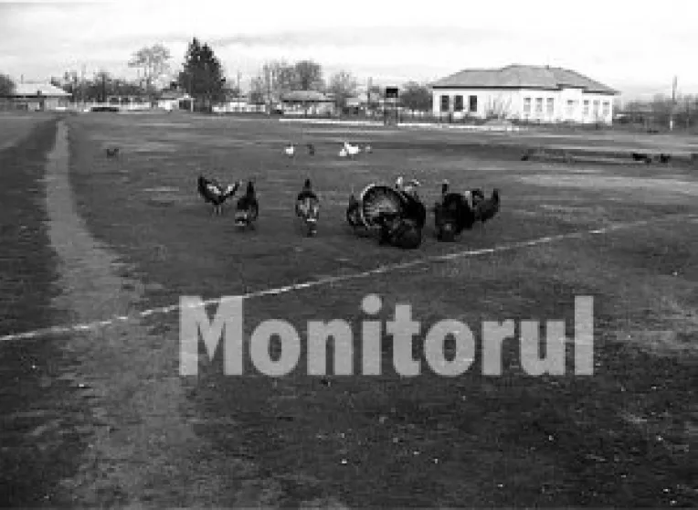 Steaua Cosmesti are tricouri