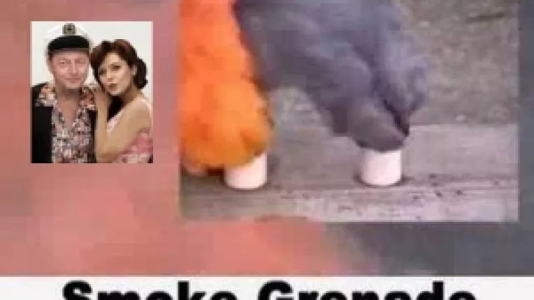 Traian Basescu arunca o perdea de fum pentru a acoperi complicitatea in fata fraudei comise de Roberta Anastase